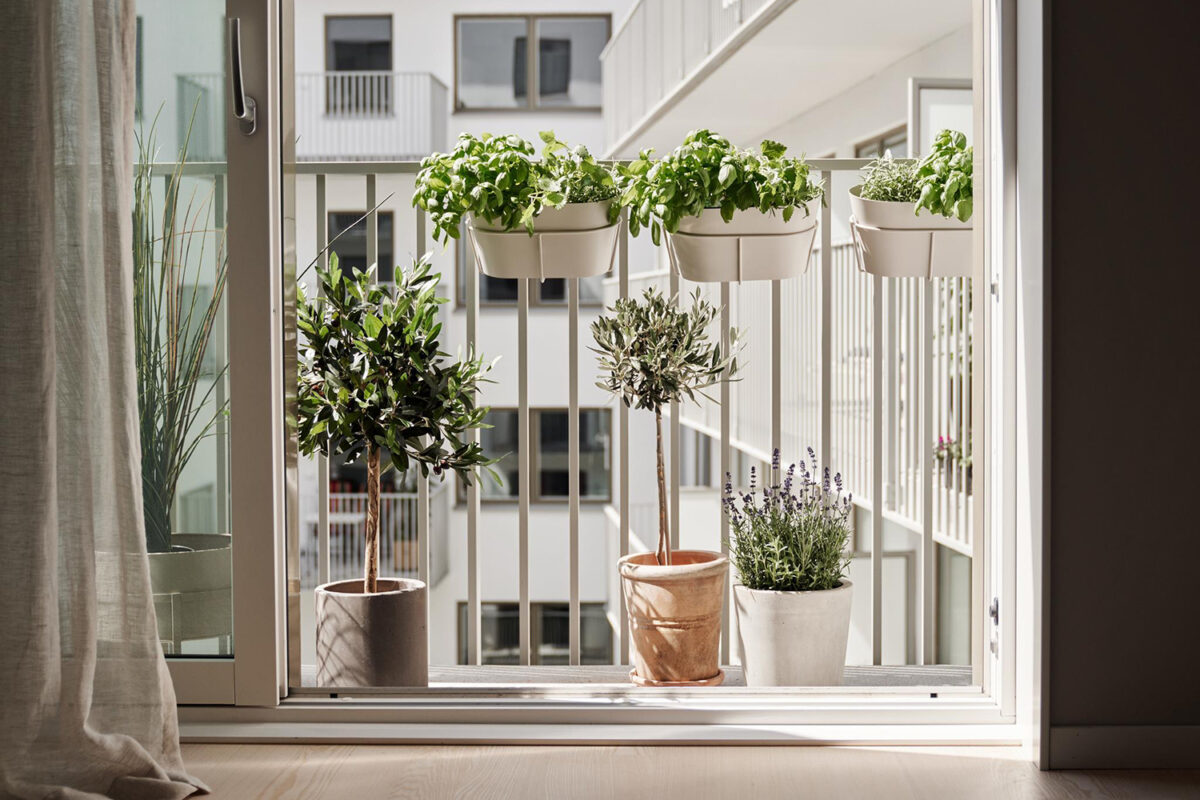 View of Scandinavian Decor Ideas for Small Apartments - Decorat