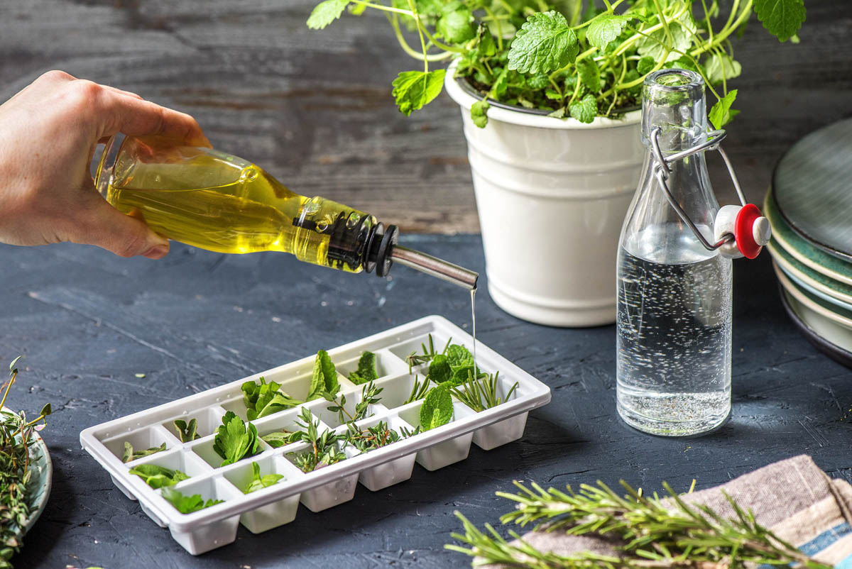 How to Freeze Herbs