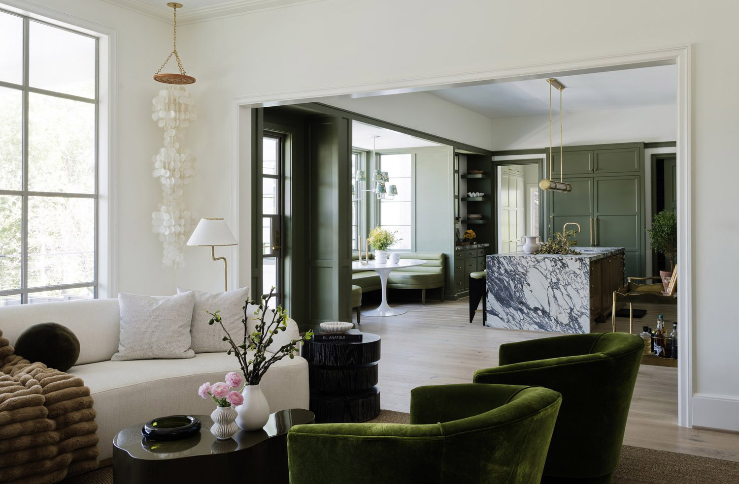 green-cabinetry-in-a-modern-kitchen-2 Green Cabinetry in a Modern Kitchen
